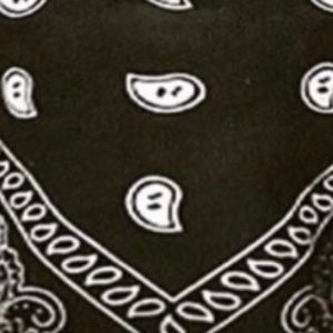 Meet your Posher, Darius